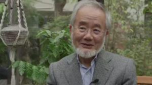 Yoshinori Ohsumi