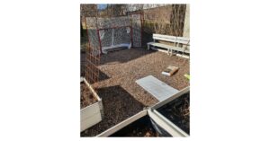 Bli gladare med detta "trick"